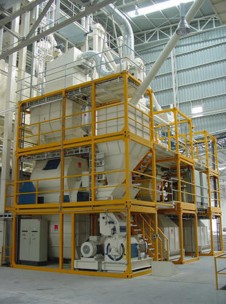 Dairy Powder Filling